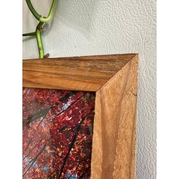 White Mountain National Forest Bridge framed artwork - Picture 4 of 8